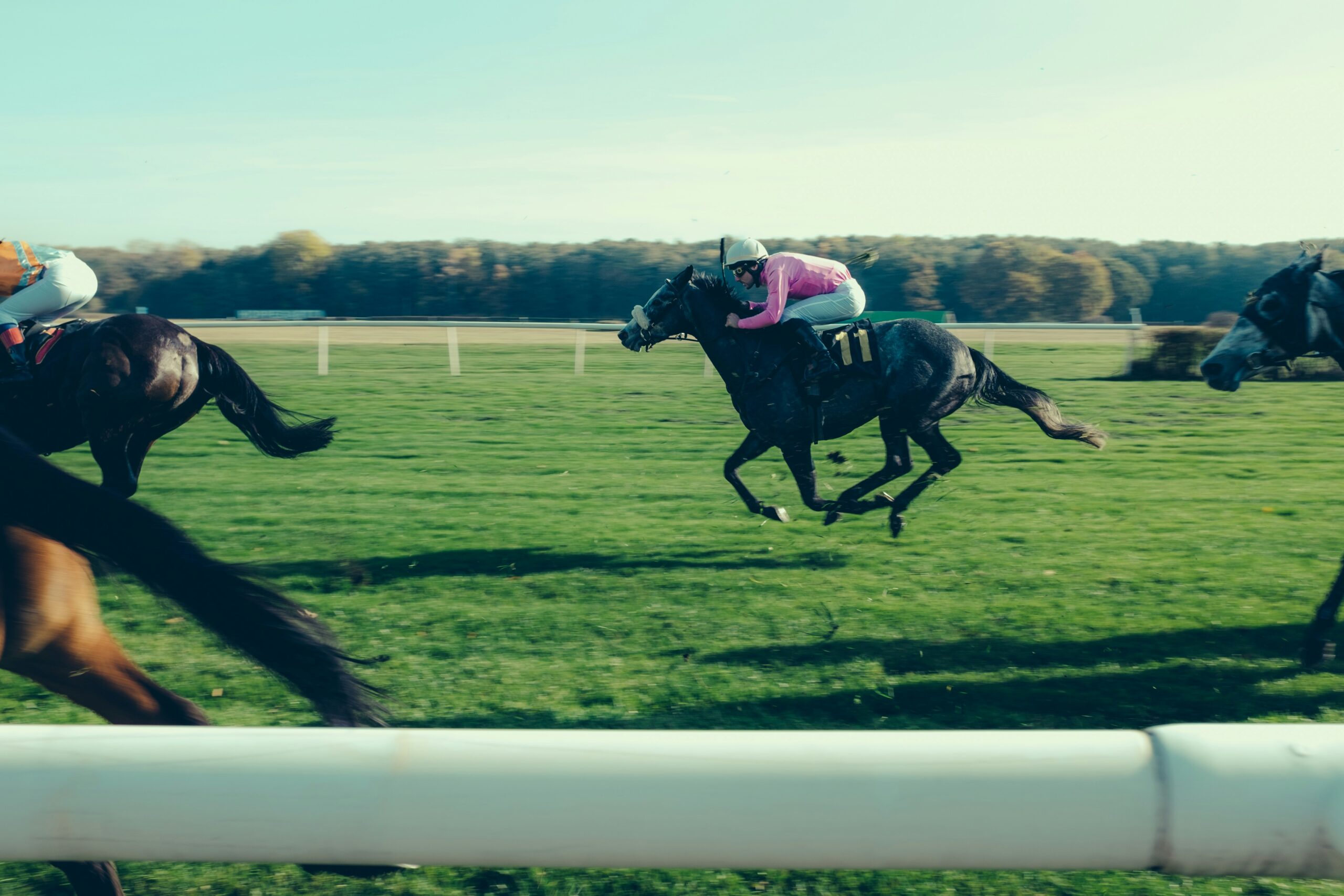 Horse Racing at Newlands of Stow