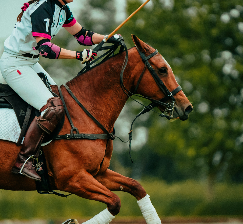 Polo match watched by residents at Newlands of Stow Retirement Village Stow on the Wold